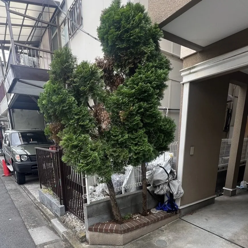ビフォー1