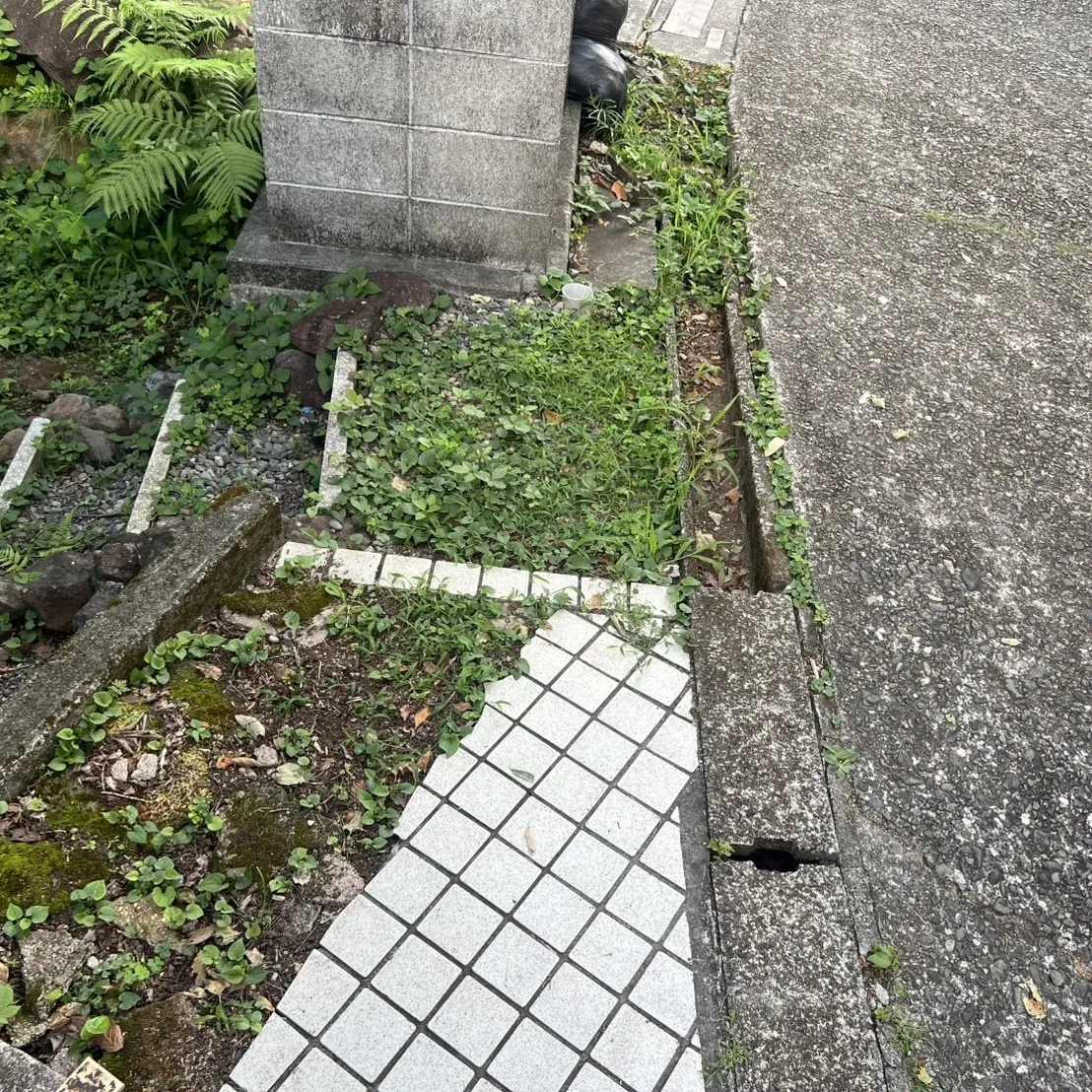 ビフォー1